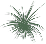 Hier gehts zum online Shop von Topp Feuerwerk