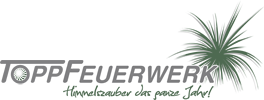 Topp Feuerwerk