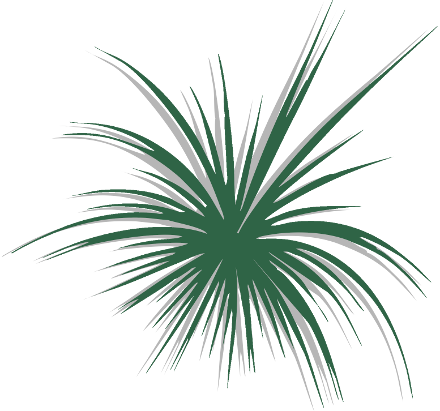 Topp Feuerwerk Effekt Logo